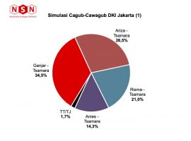 Survei NSN: Tsamara Cawagub Favorit DKI Jakarta